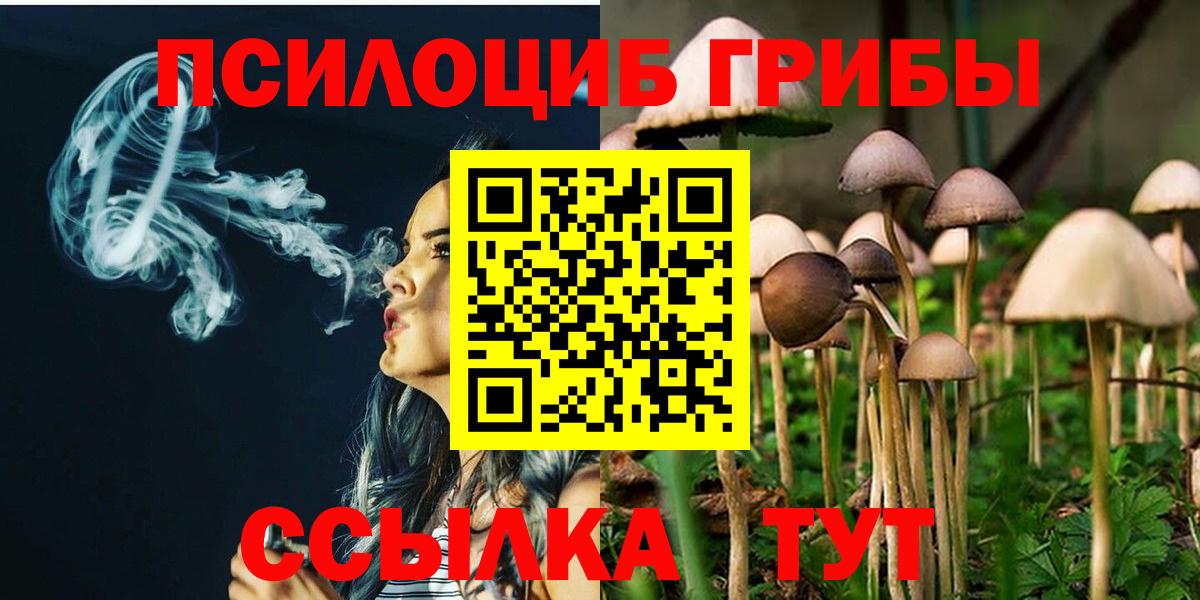 Псилоцибиновые грибы GOLDEN TEACHER Кимры
