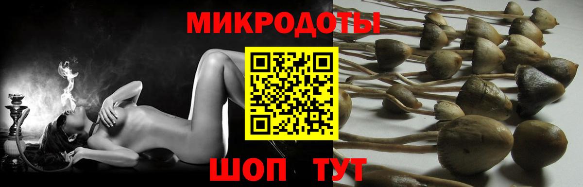 Кимры  Галлюциногенные грибы прущие грибы  Вход с VPN 